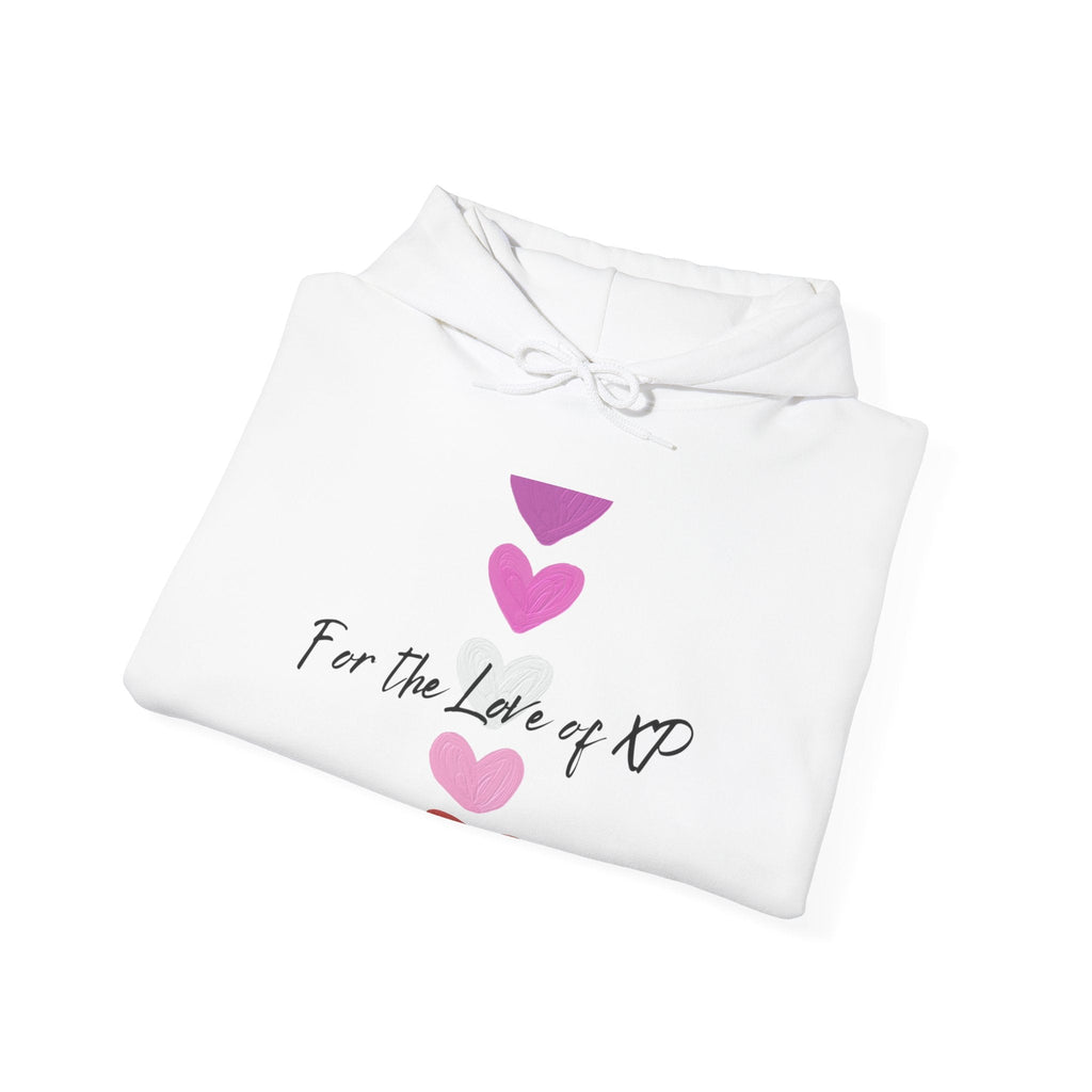 Gamer Quote Heavy Blend Hoodie, Gaming XP Sweatshirt, Video Game Player Pullover, Gamer Gift Jumper, Geek Clothing