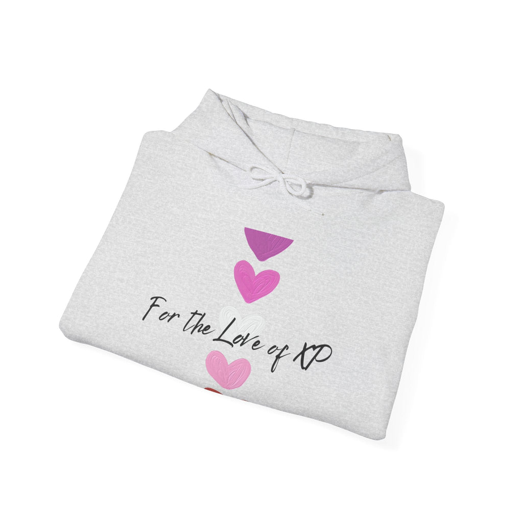 Gamer Quote Heavy Blend Hoodie, Gaming XP Sweatshirt, Video Game Player Pullover, Gamer Gift Jumper, Geek Clothing