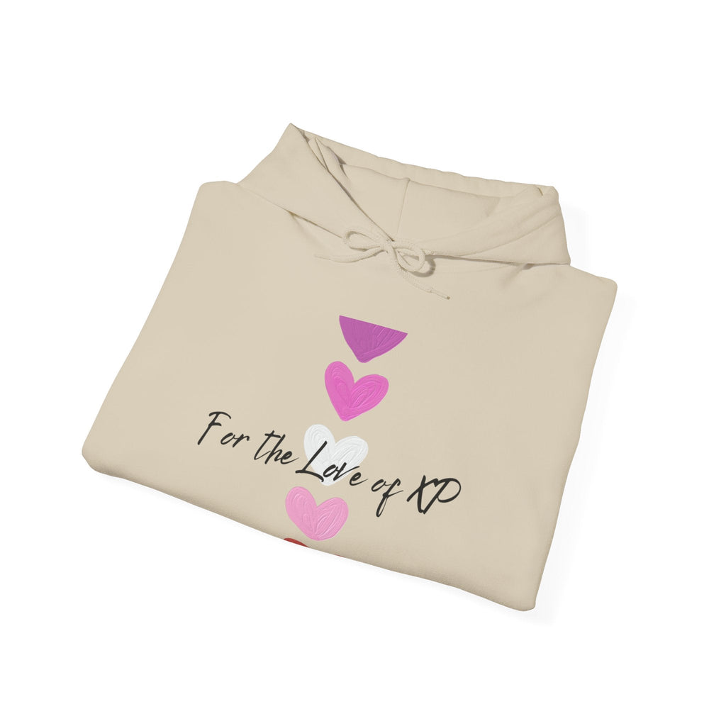 Gamer Quote Heavy Blend Hoodie, Gaming XP Sweatshirt, Video Game Player Pullover, Gamer Gift Jumper, Geek Clothing