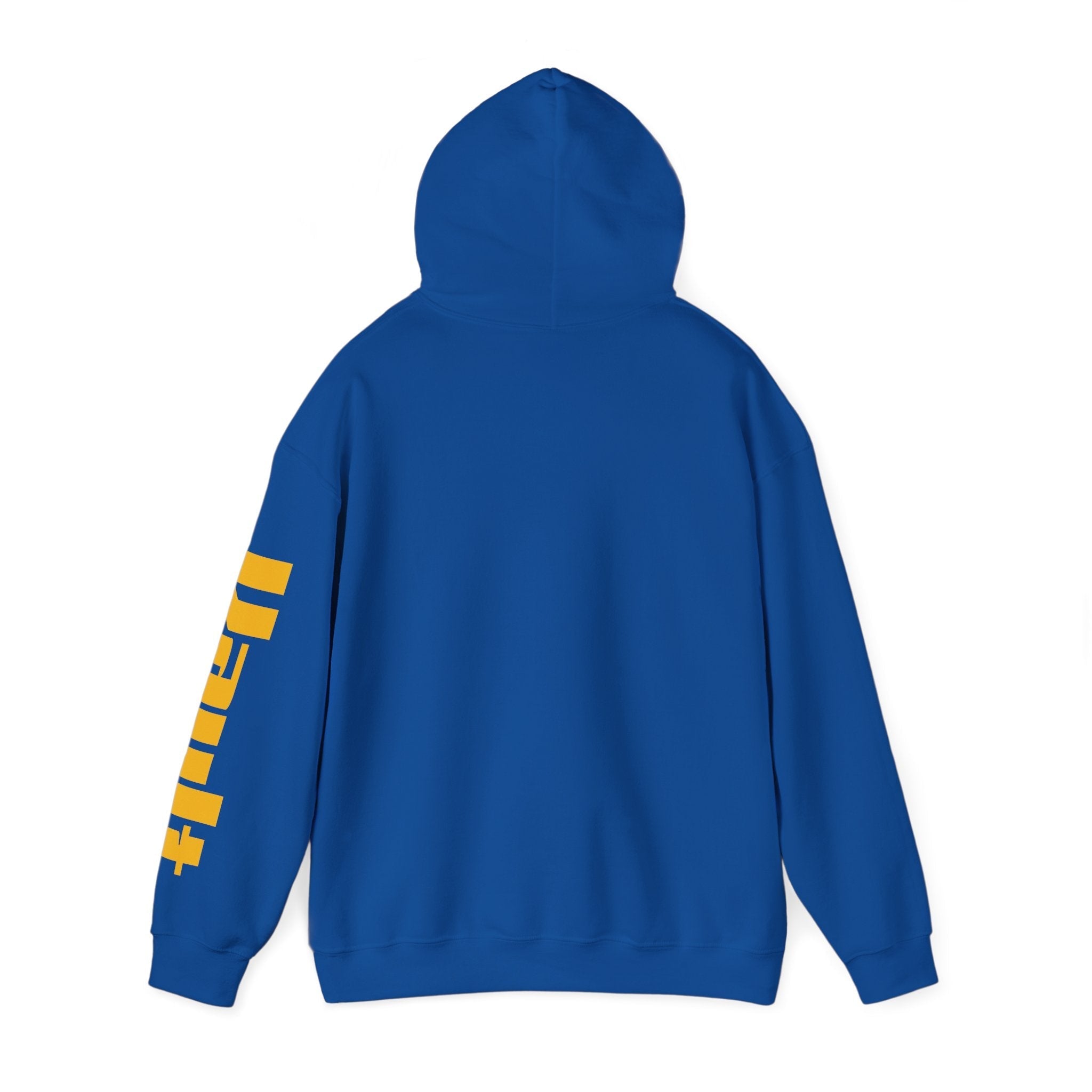 Vault 33 Hoodie – Retro Sci-Fi Gaming Apparel