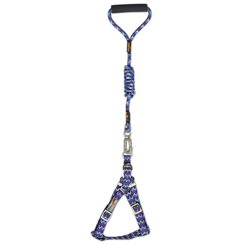 Dog Helios 'Surfside' Adjustable Dog Harness and Leash