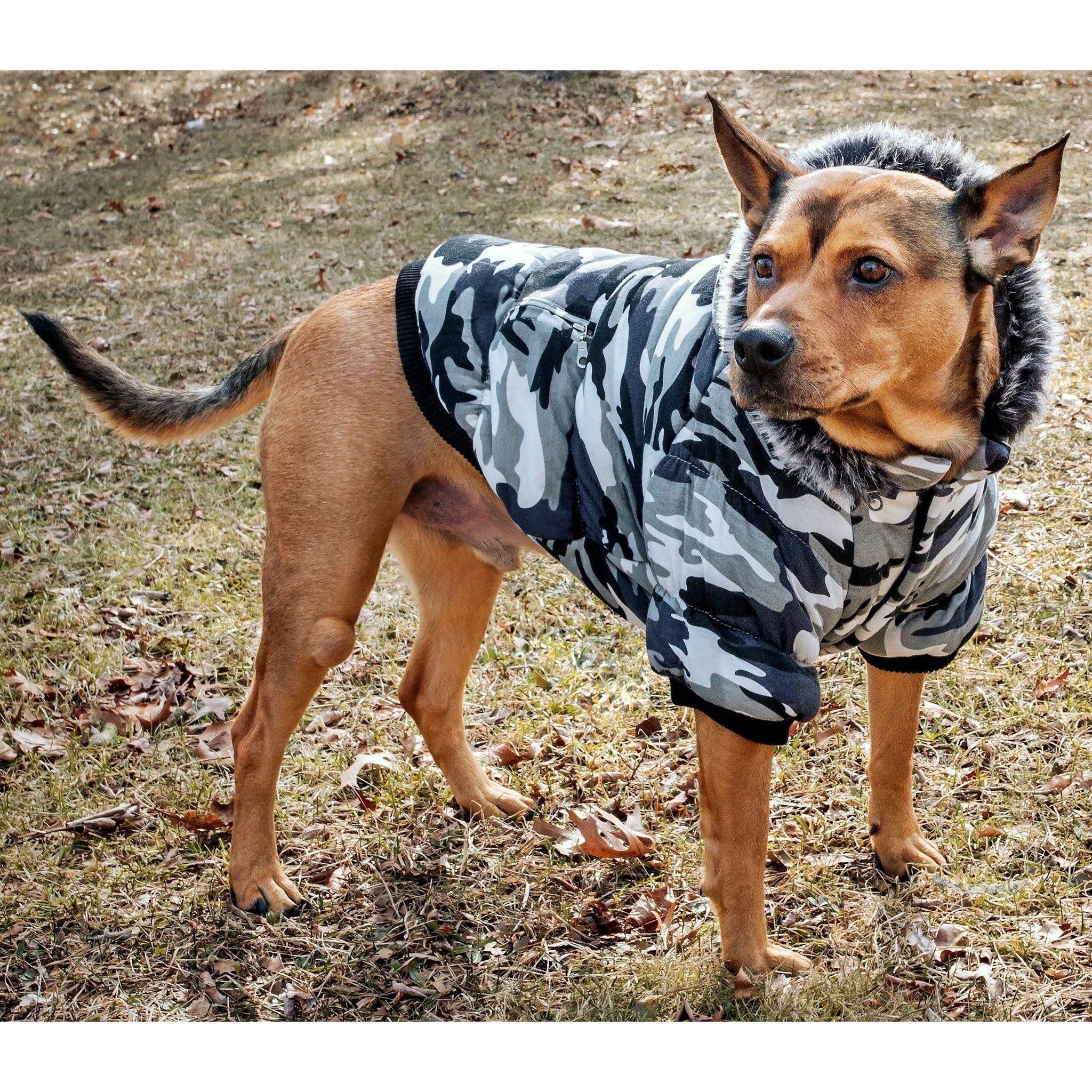 Pet Life ® Classic Metallic Fashion 3M Insulated Dog Coat Parka  w/ Removable Hood