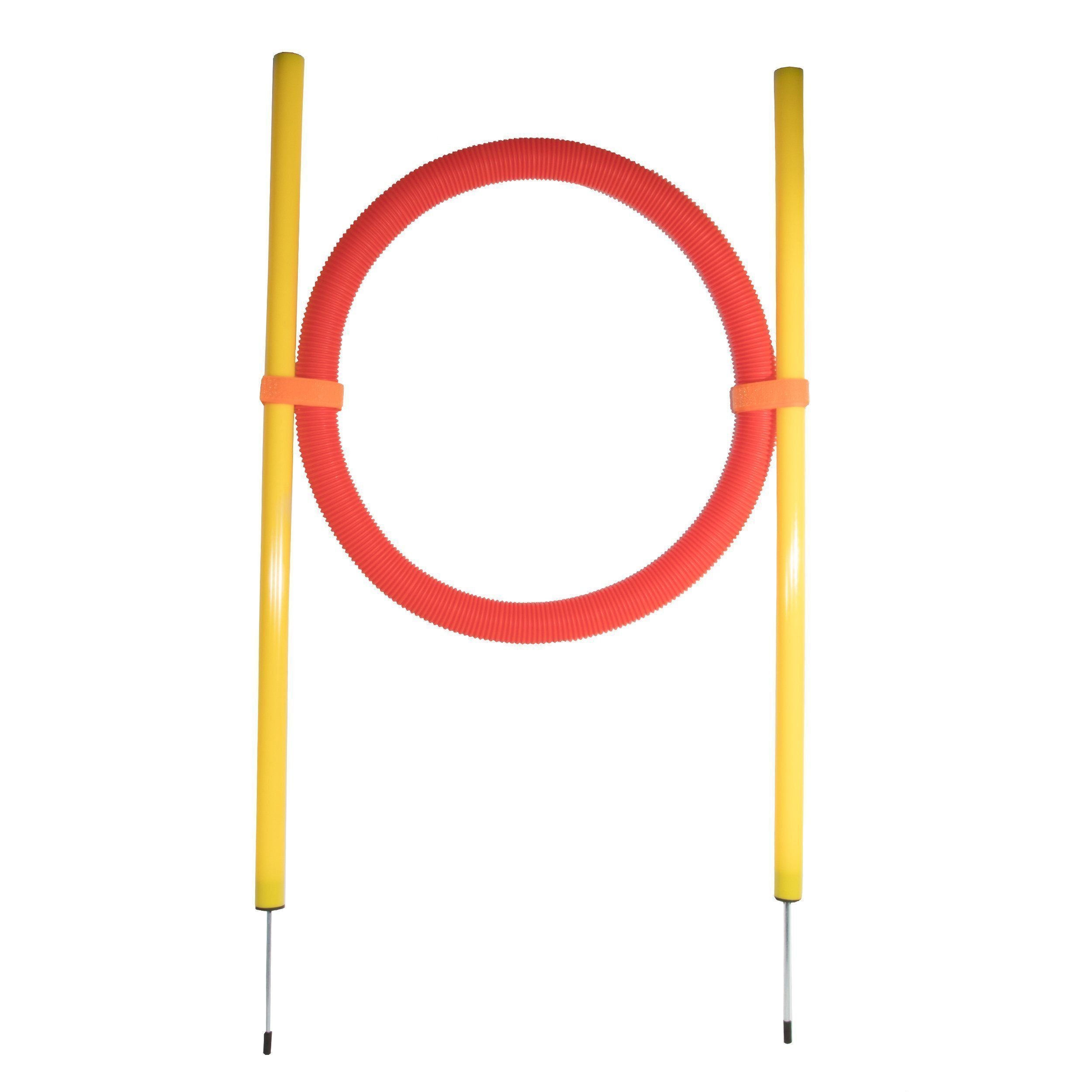 Pet Life ® 'Hoop Hopper' Collapsible Travel Folding Outdoor Performance Agility Pet Dog Trainer Training Kit