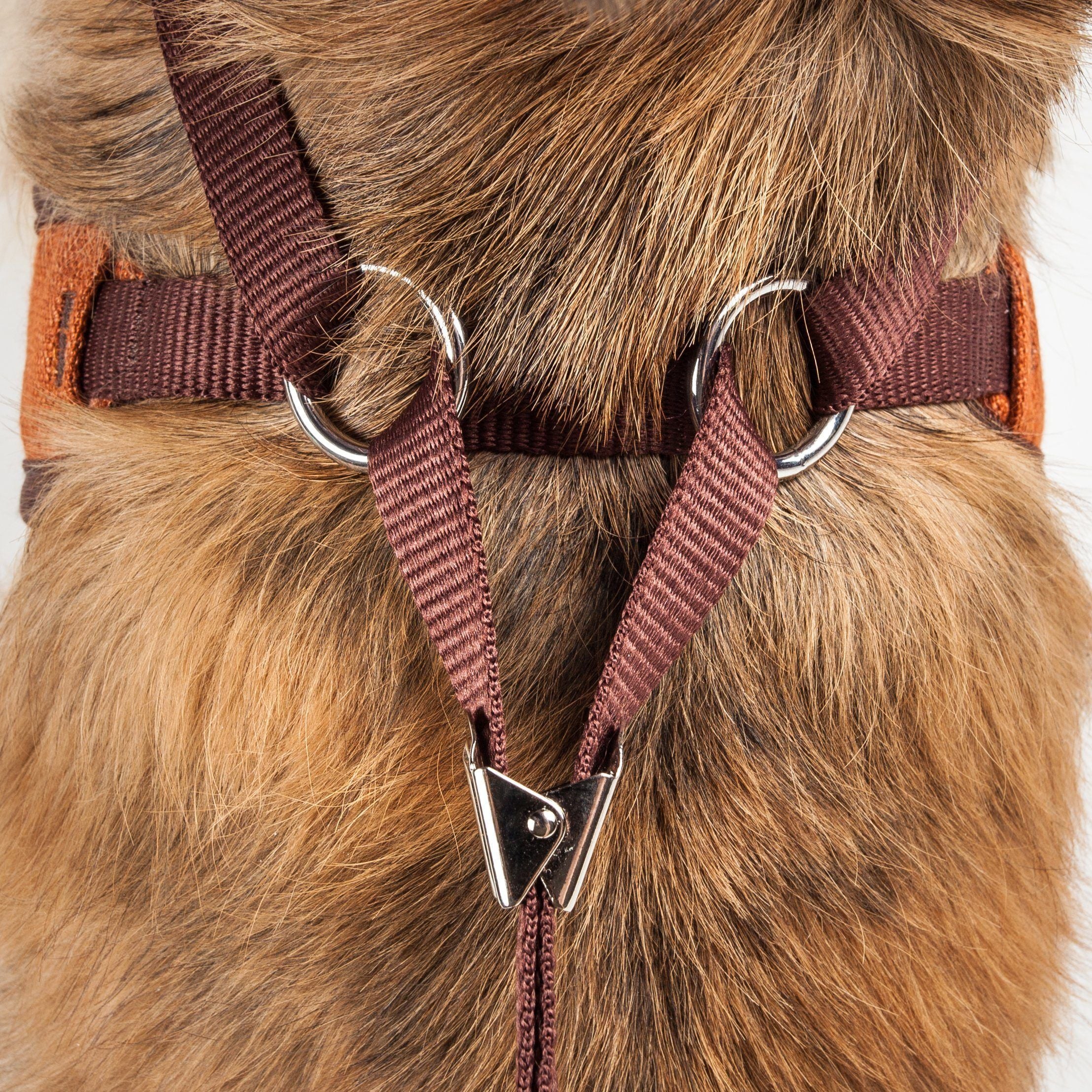 Pet Life ® Luxe 'Pawsh' 2-In-1 Adjustable Fashion Dog Harness and Leash