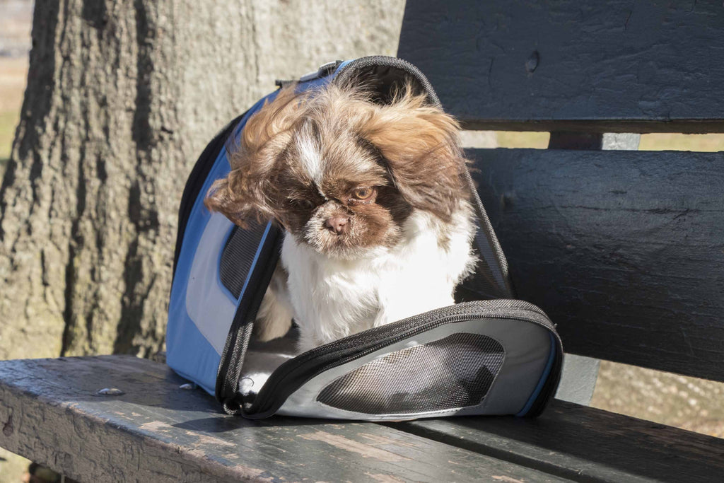 Pet Life ® Sporty Mesh Airline Approved Zippered Folding Collapsible Travel Pet Dog Carrier