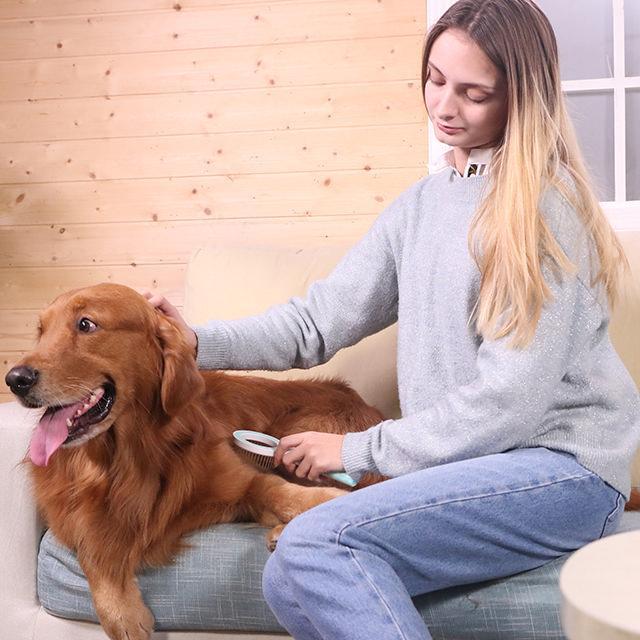 Pet Life ® 'WAGNIFY' 360 Degree and Multi-Directional Modern Grooming Pet Rake Comb